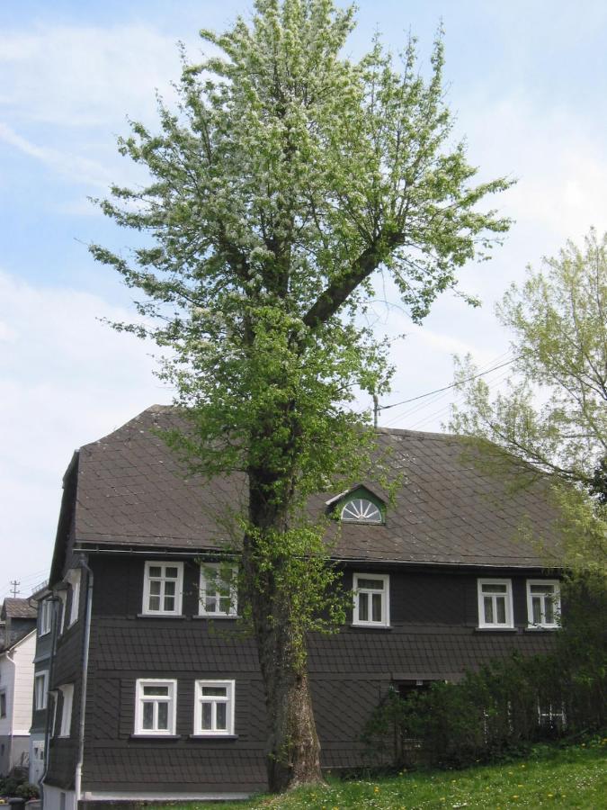 Ferienhaus Mittelstrasse Apartment Daaden Exterior photo